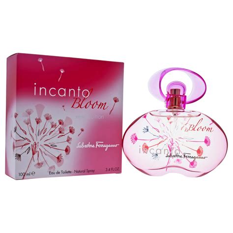 incanto perfume for men|incanto bloom by salvatore ferragamo.